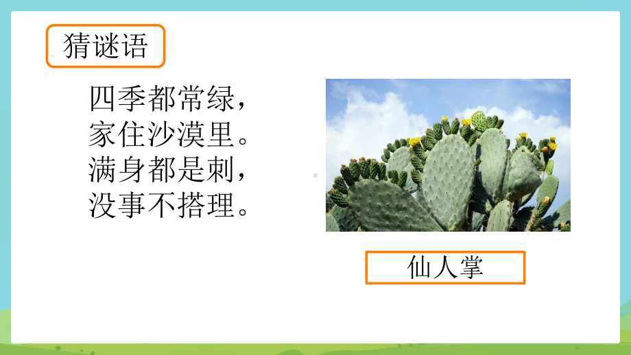 2 奇妙的植物（ppt课件）(共14张PPT)-2024新大象版四年级下册《科学》.pptx_第2页