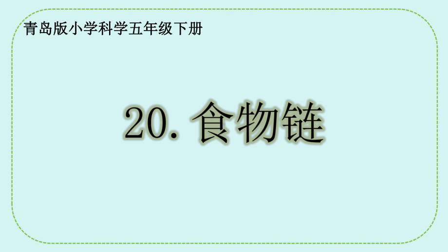 5.20《食物链》ppt课件(共23张PPT)-2024新青岛版（六三制）五年级下册《科学》.pptx_第1页