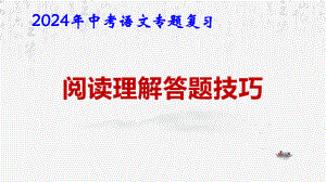 2024年中考语文专题复习：阅读理解答题技巧 课件30张.pptx