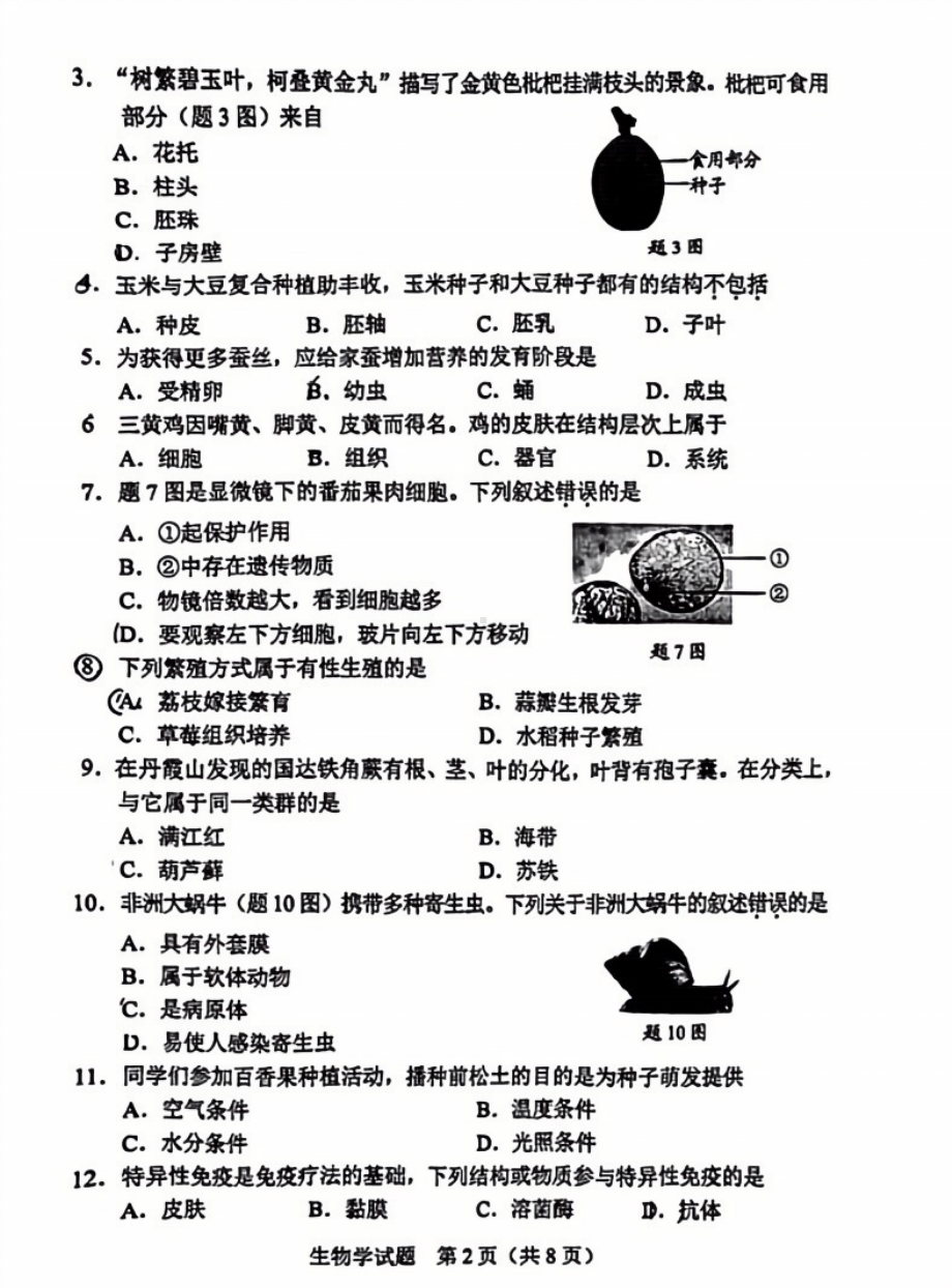 [真题]2024年广东省中考生物真题试卷 （pdf版无答案）.pdf-免费下载_第2页