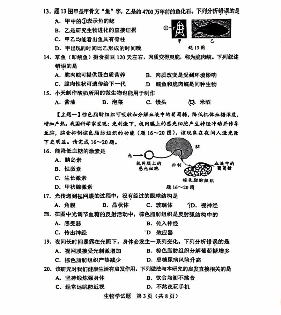 [真题]2024年广东省中考生物真题试卷 （pdf版无答案）.pdf-免费下载_第3页