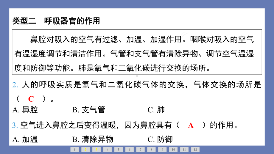 5单元人的呼吸整合提升 课件苏教版科学三年级上册.pptx_第3页