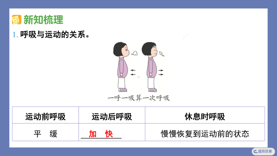 17. 运动和呼吸课件苏教版科学三年级上册.pptx_第3页