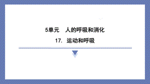 17. 运动和呼吸课件苏教版科学三年级上册.pptx