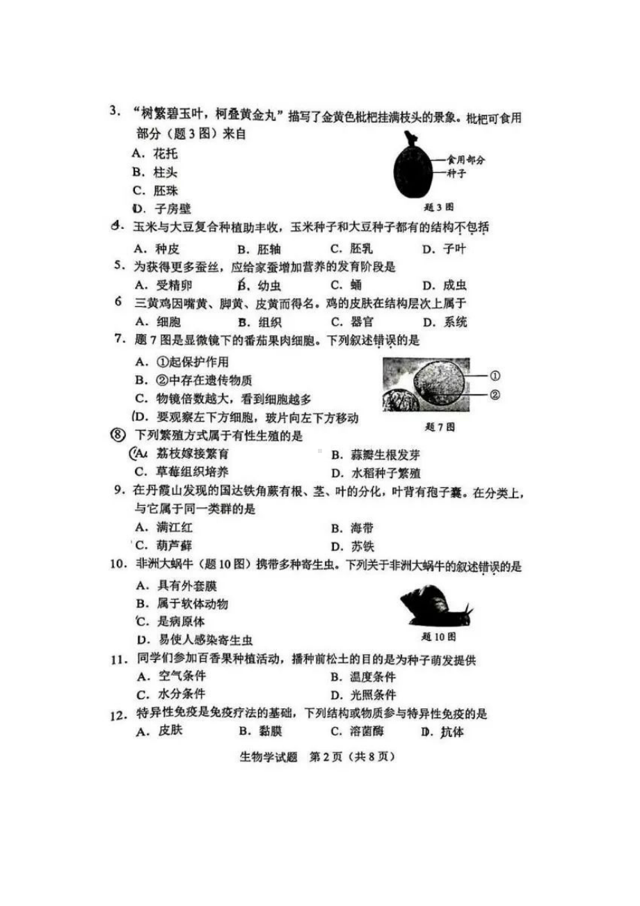 [真题]2024广东中考生物真题试题（pdf版含答案）.doc_第2页