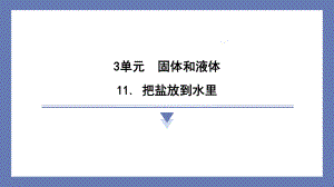 11. 把盐放到水里 训练课件苏教版科学三年级上册.pptx