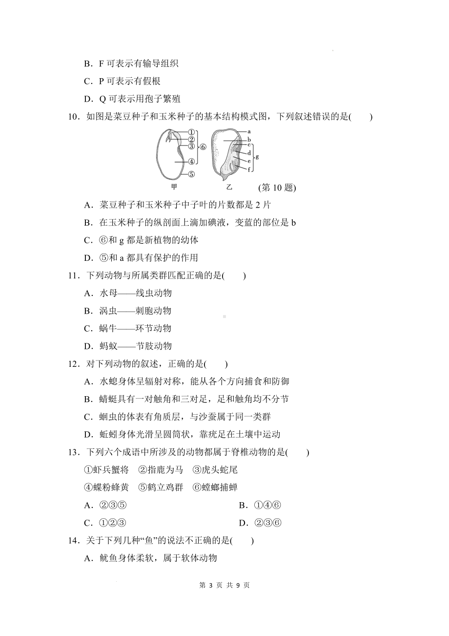 人教版（2024）七年级上册生物第二单元多种多样的生物第一、二章达标测试卷（Word版含答案）.docx_第3页