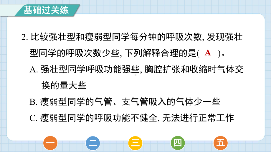 2.2呼吸与健康生活 预习课件 2024-2025学年教科版科学四年级上册.pptx_第3页