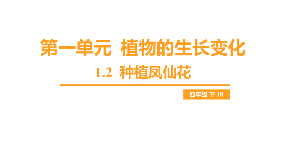 1.2 种植凤仙花（课件）教科版科学四年级下册.pptx_第1页