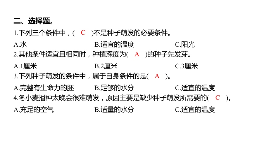 1.2 种植凤仙花（课件）教科版科学四年级下册.pptx_第3页