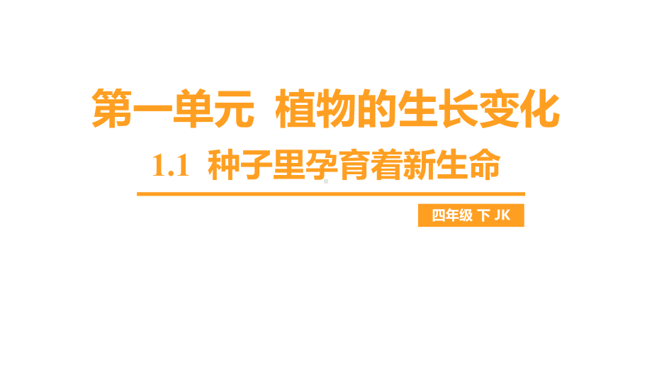 1.1 种子里孕育着新生命（课件）教科版科学四年级下册.pptx_第1页