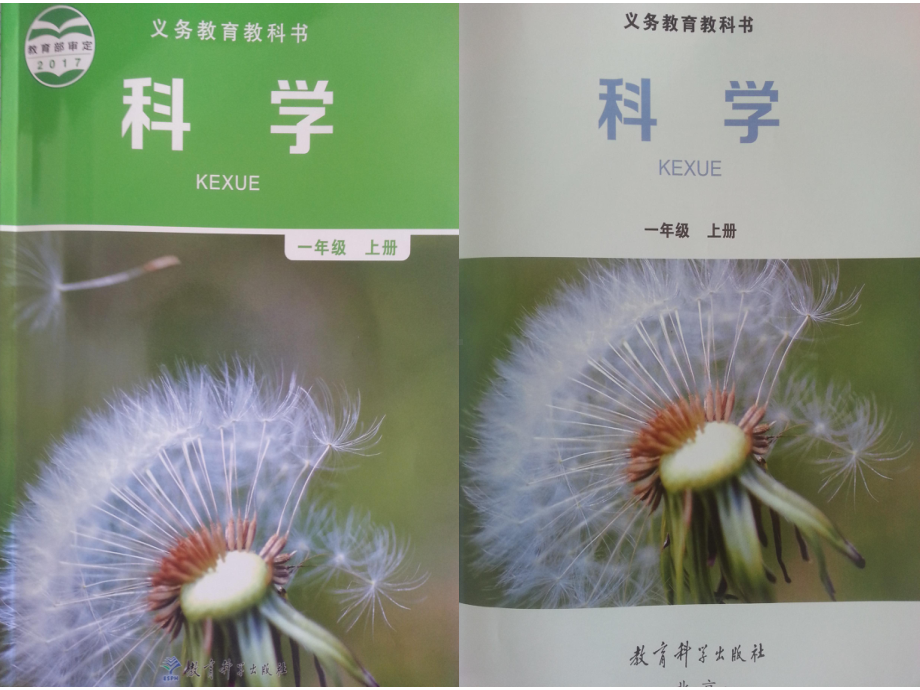 2《观察植物》（ppt课件）-2024新教科版一年级上册《科学》.pptx_第2页