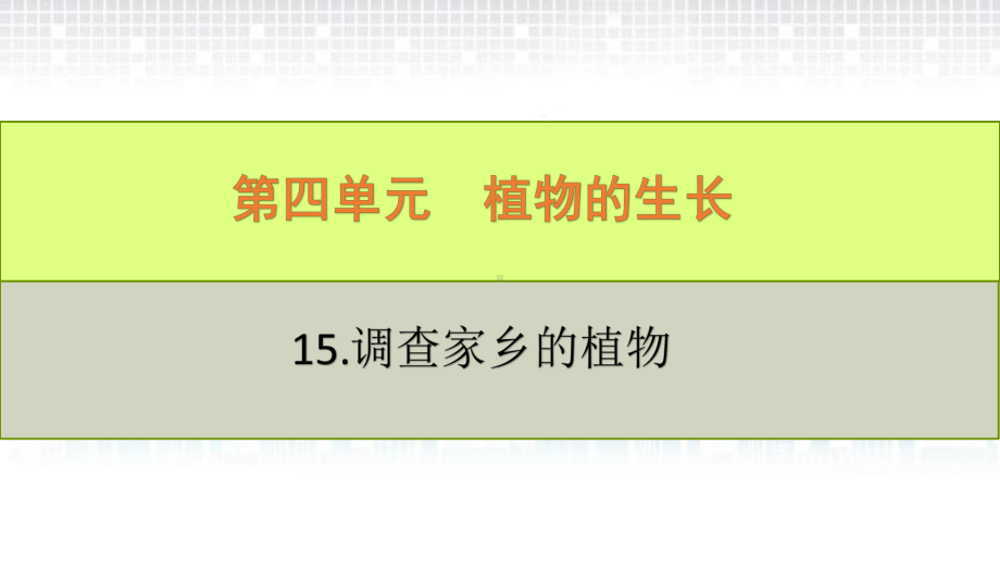 科学青岛版四年级下册（2020年新编）15 调查家乡植物 课件.pptx_第2页