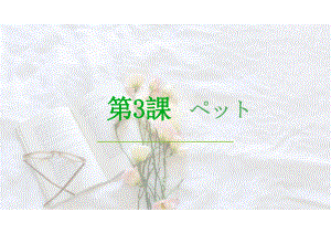 2024新人教版《初中日语》必修第二册 课次3 ペット 单词语法（ppt课件）.pptx