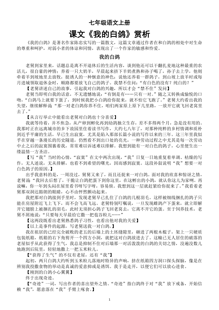 初中语文新部编版七年级上册新增课文《我的白鸽》赏析（2024秋）.doc_第1页