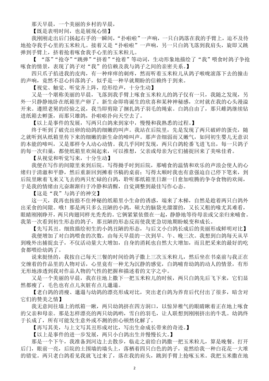 初中语文新部编版七年级上册新增课文《我的白鸽》赏析（2024秋）.doc_第2页