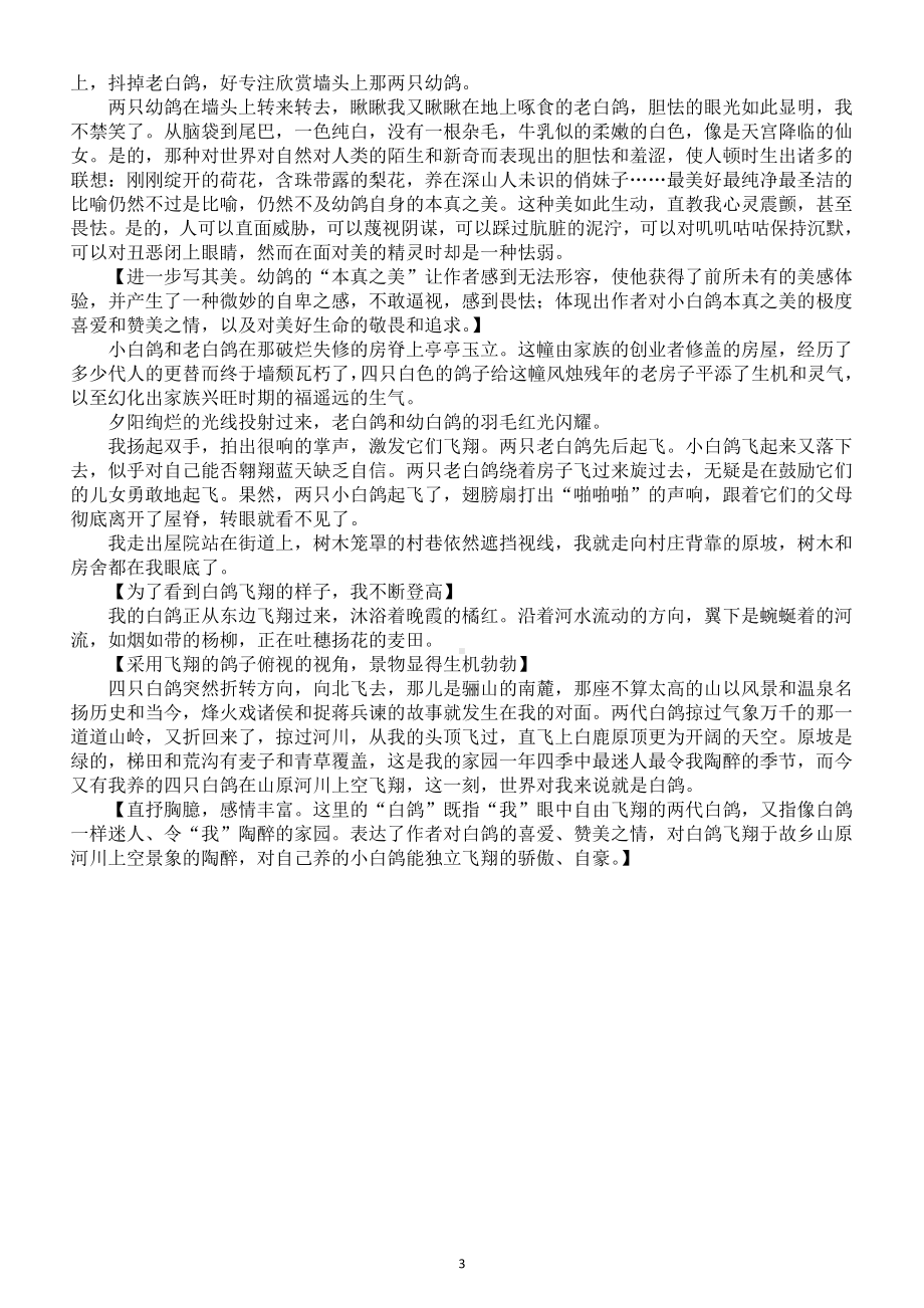 初中语文新部编版七年级上册新增课文《我的白鸽》赏析（2024秋）.doc_第3页