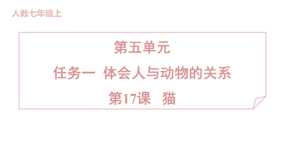 17 猫 训练提升课件 2024-2025-统编版（2024）七年级上册.pptx_第1页