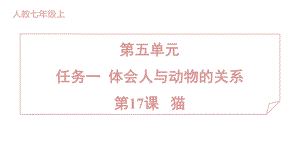 17 猫 训练提升课件 2024-2025-统编版（2024）七年级上册.pptx