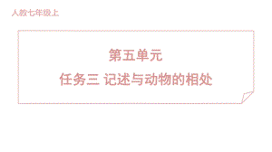 任务三 记述与动物的相处 训练提升课件 2024-2025-统编版（2024）七年级上册.pptx