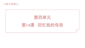 14 回忆我的母亲 训练提升课件 2024-2025-统编版（2024）七年级上册.pptx