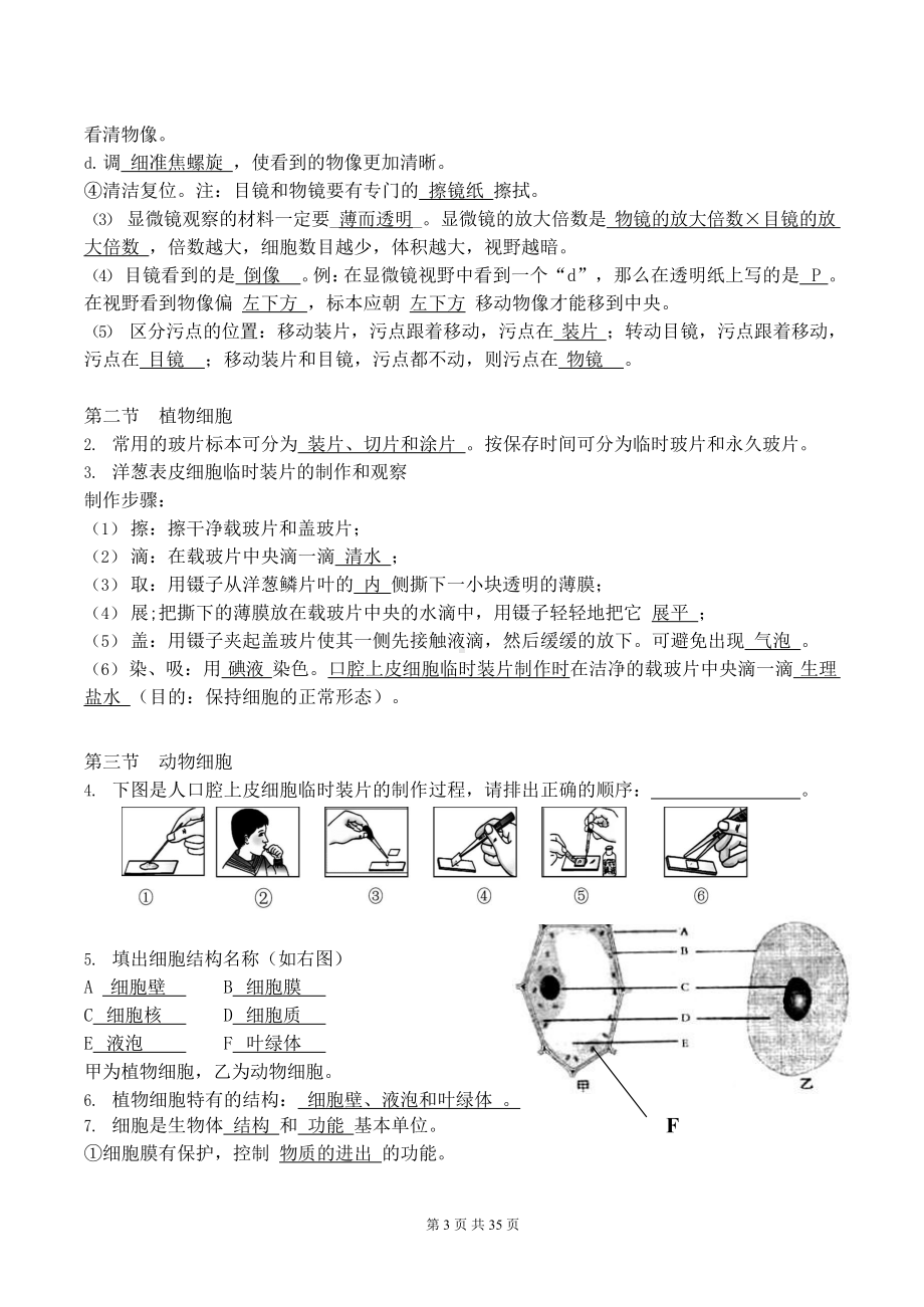 2025年中考济南版生物总复习七八基础知识复习资料汇编（实用必备！）.docx_第3页