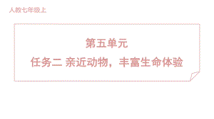 任务二 亲近动物丰富生命体验 训练提升课件 2024-2025-统编版（2024）七年级上册.pptx