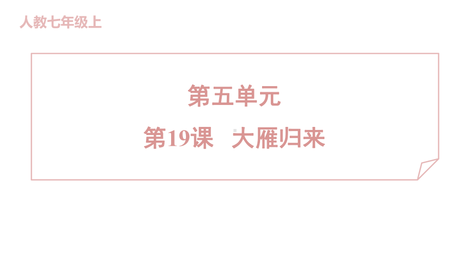 19 大雁归来 训练提升课件 2024-2025-统编版（2024）七年级上册.pptx_第1页