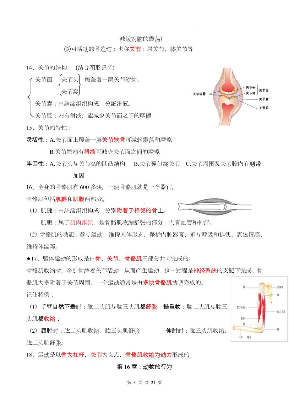 北师大版八年级上册生物期末复习知识点提纲精编版（实用必备！）.docx_第3页