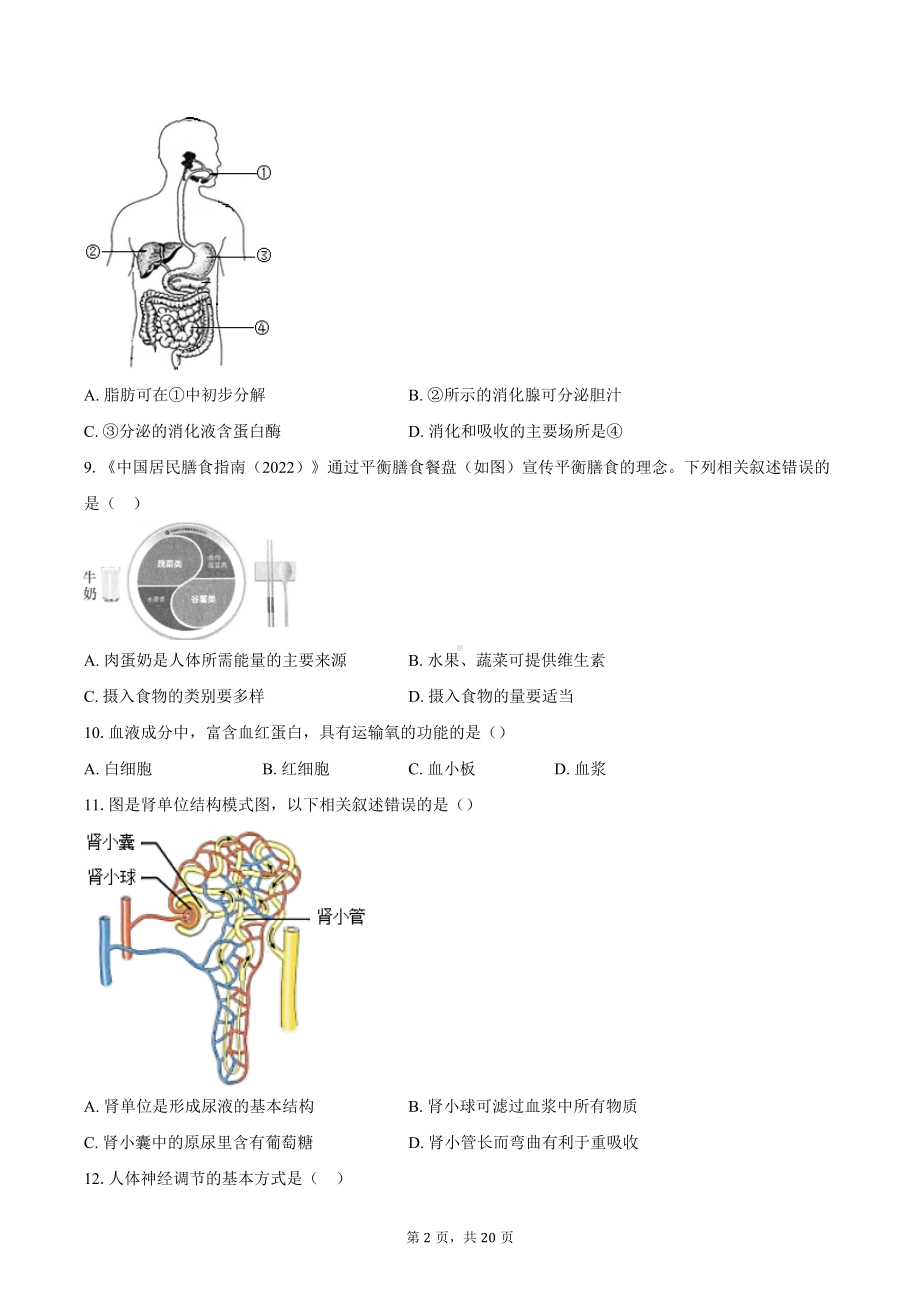 [真题]2024年北京市西城区中考生物真题试题（含解析）.docx_第2页