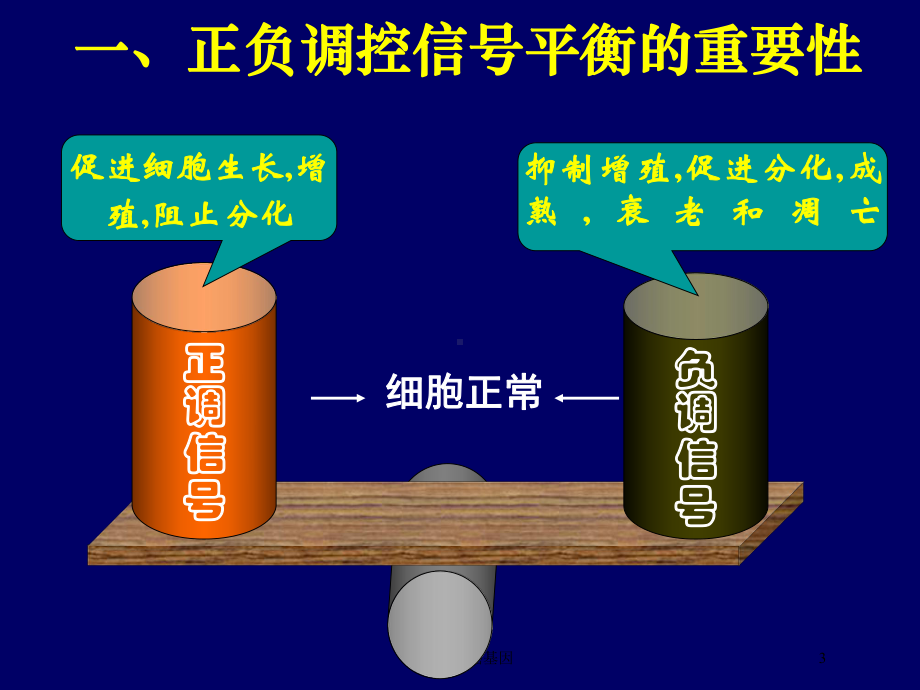 癌基因抑癌基因培训课件.ppt（46页）_第3页