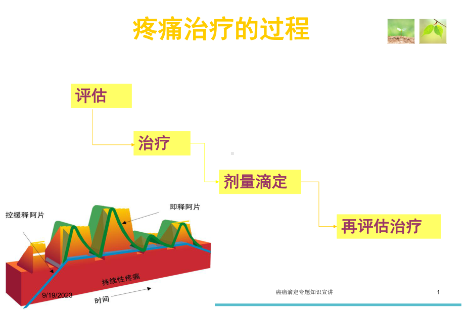 癌痛滴定专题知识宣讲培训课件.ppt（36页）_第1页