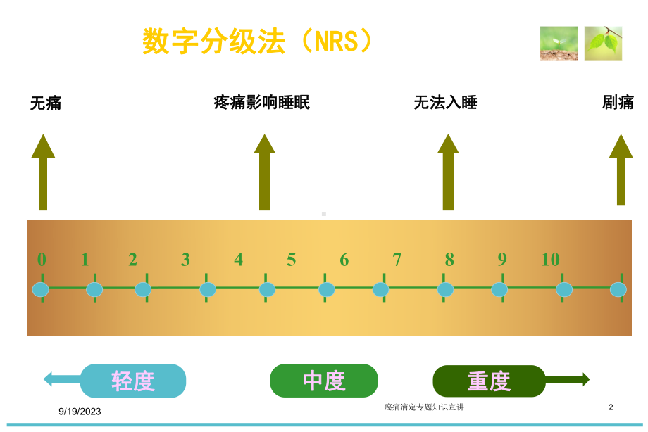 癌痛滴定专题知识宣讲培训课件.ppt（36页）_第2页