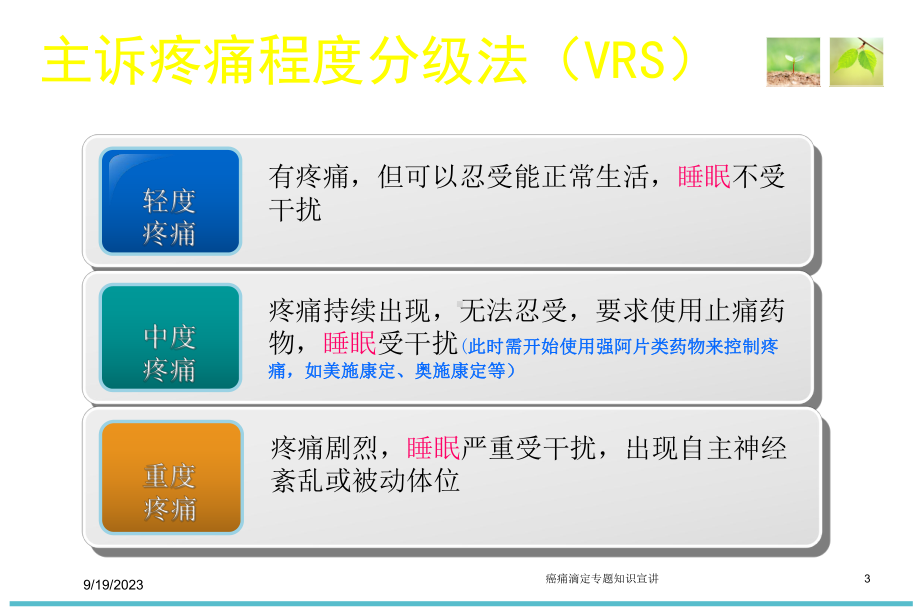 癌痛滴定专题知识宣讲培训课件.ppt（36页）_第3页