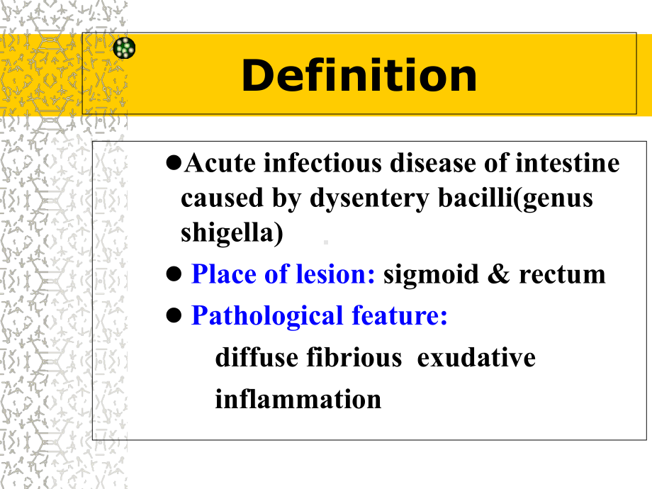 痢疾Bacillary-ysentery教学讲解课件-.ppt（34页）_第2页