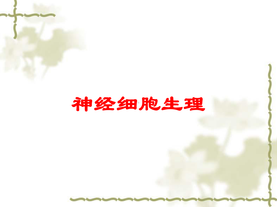 神经细胞生理培训课件.ppt（55页）_第1页