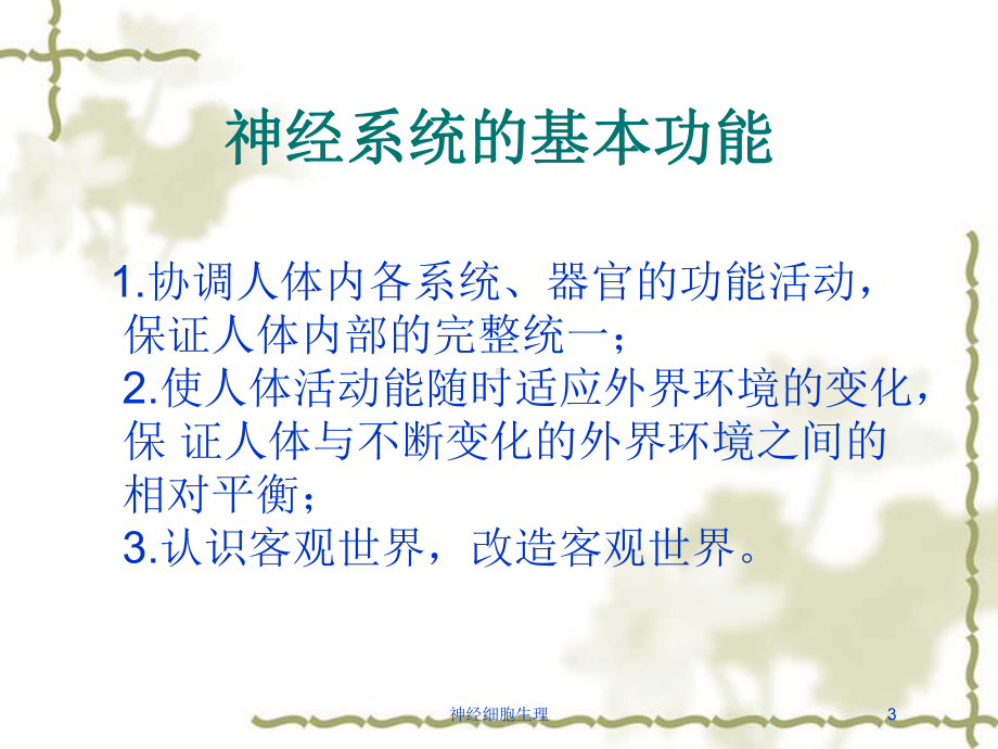 神经细胞生理培训课件.ppt（55页）_第3页