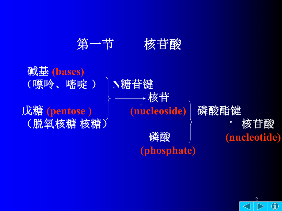 第三章核酸的结构与功能课件.ppt（96页）_第2页