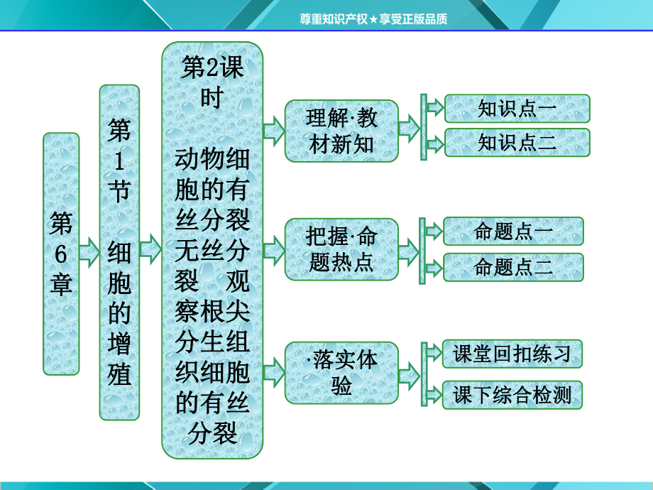 第1部分第6章第1节第2课时-动物细胞的有丝分裂无丝分裂观察根尖分生组织细胞的有丝分裂课件.pptx（40页）_第1页