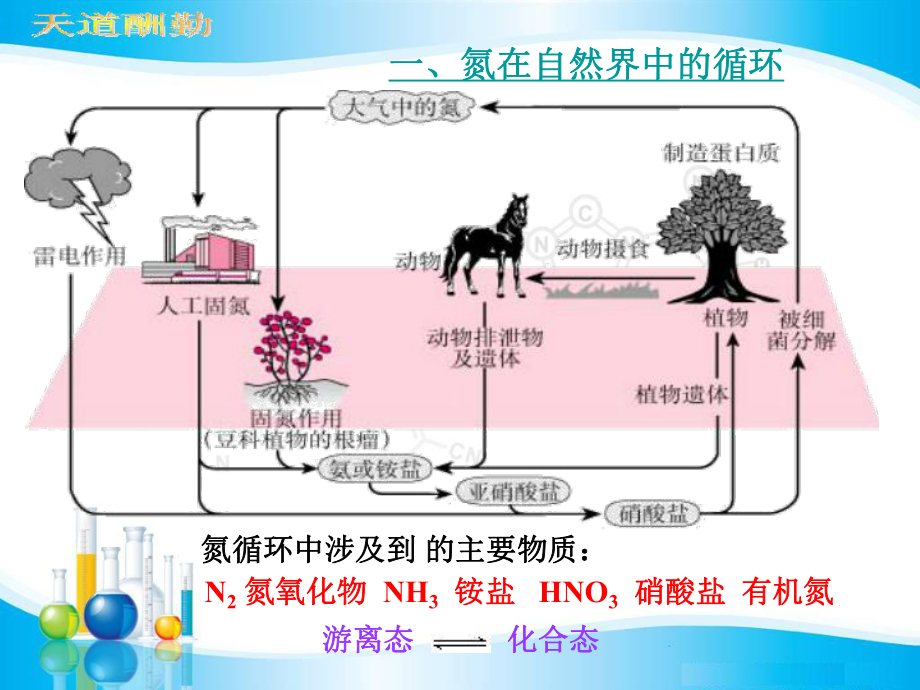 第1课时-自然界中氮的循环-氮气-一氧化氮和二氧化氮课件.ppt（106页）_第2页