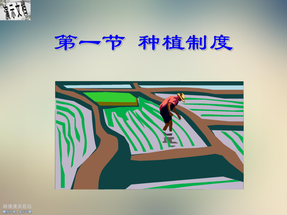 种植制度耕作制度汇编课件.ppt（104页）_第2页