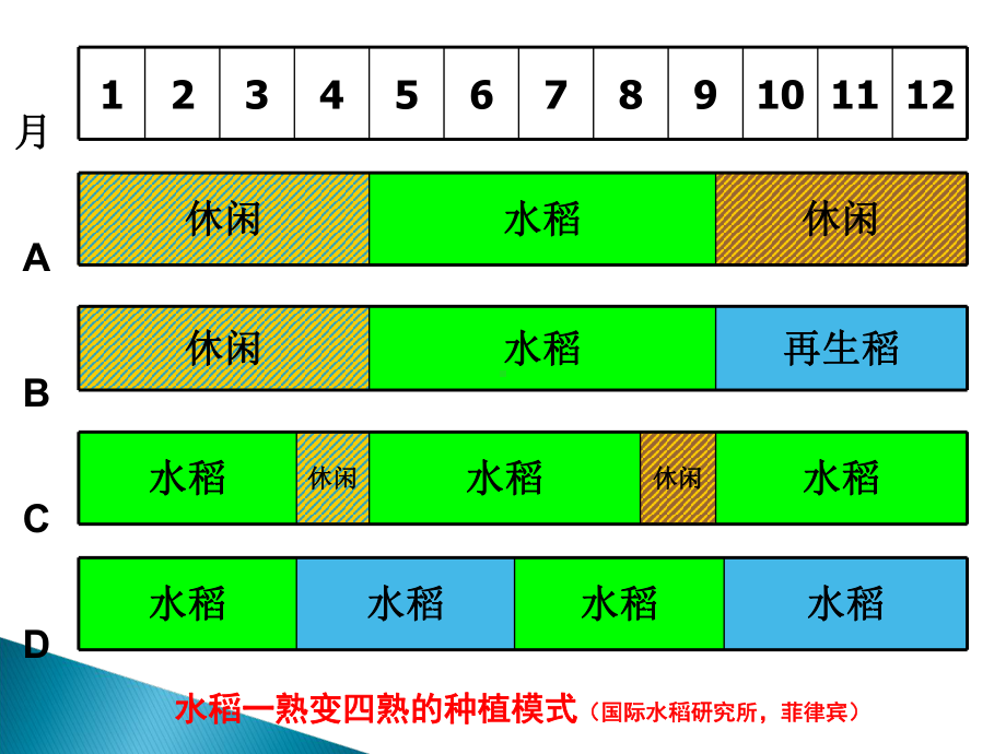 第三章多熟种植教学课件.ppt（94页）_第2页