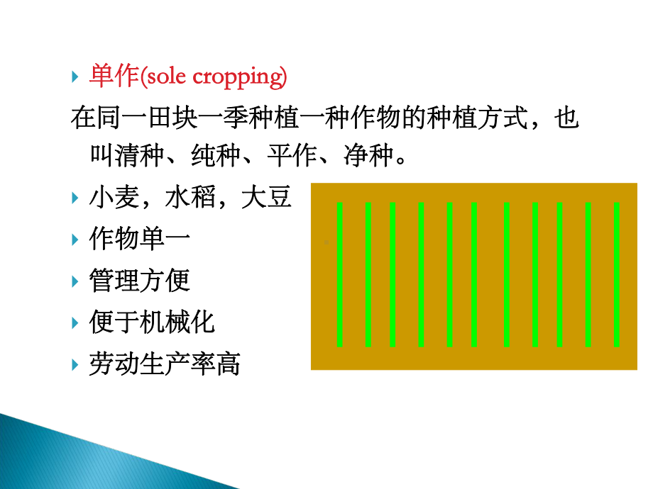 第三章多熟种植教学课件.ppt（94页）_第3页