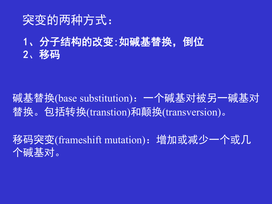 第十章基因突变B解析课件.ppt（72页）_第2页