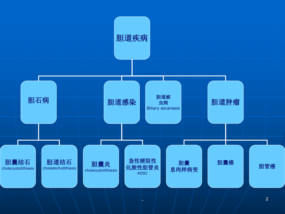 胆囊结石-精讲医学课件.ppt（53页）_第2页