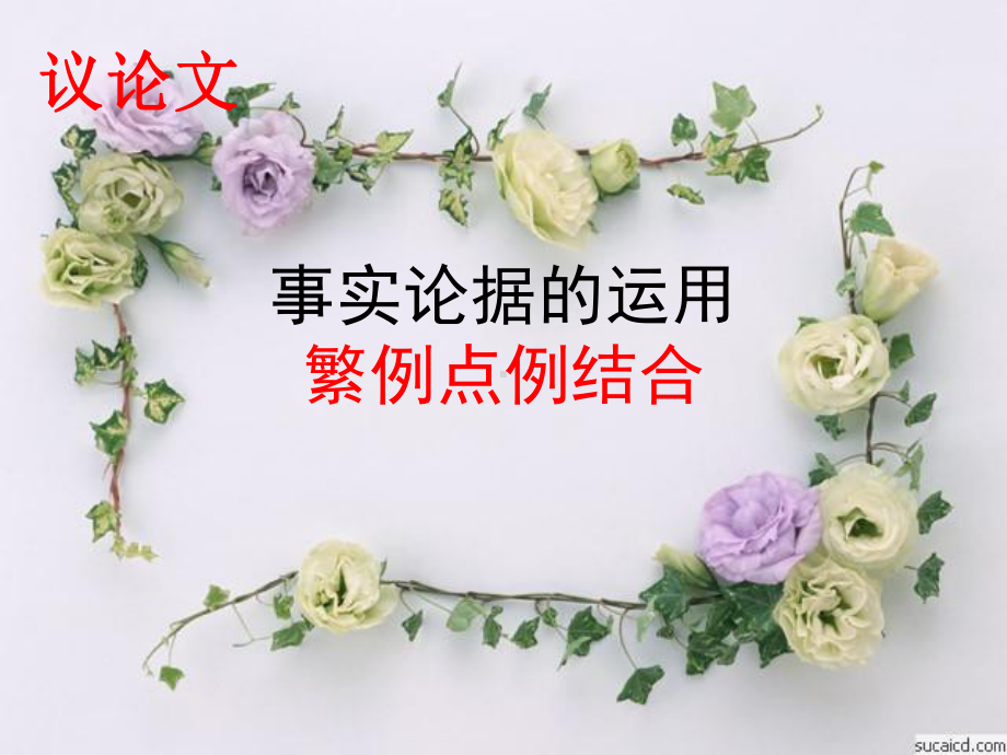 繁例点例结合课件.ppt（32页）_第1页