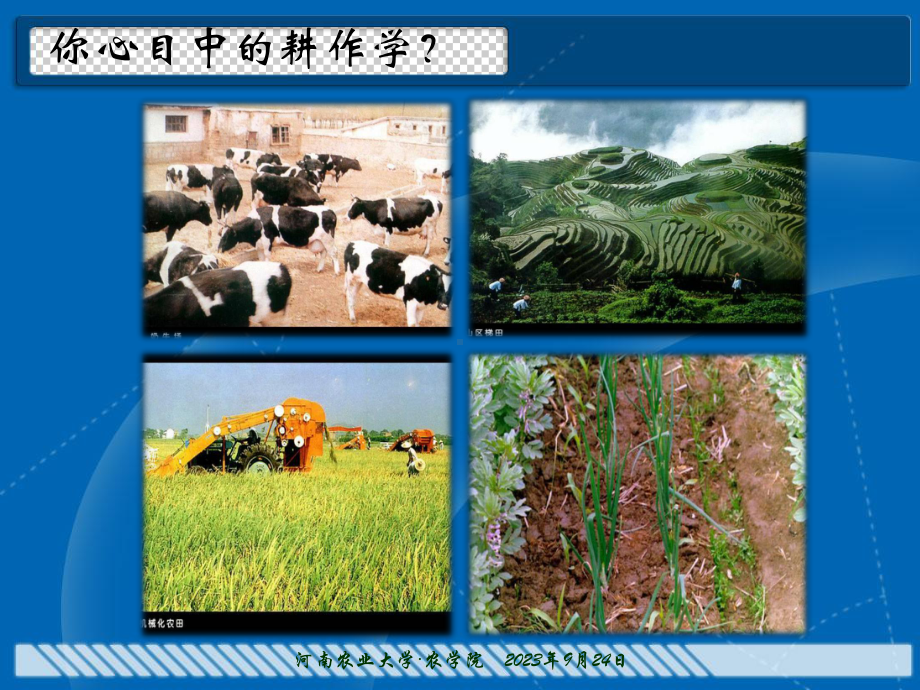 耕作学第一章-耕作制度引论课件.ppt（38页）_第3页