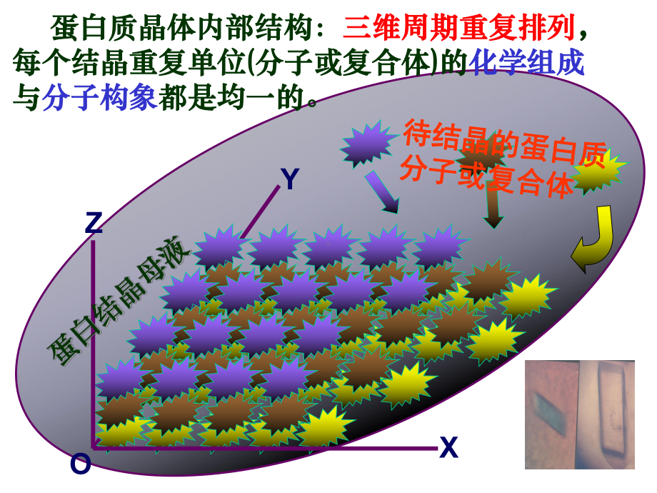 蛋白质晶体学-线性变换与空间群课件.ppt（107页）_第2页