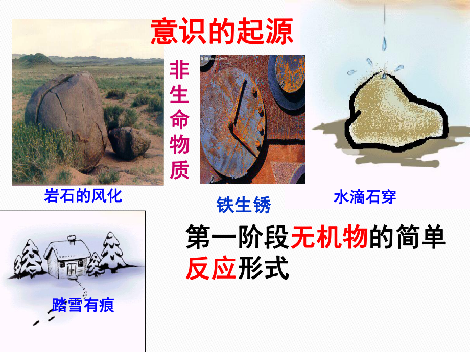 讲课《意识的本质》资料课件.ppt（74页）_第3页