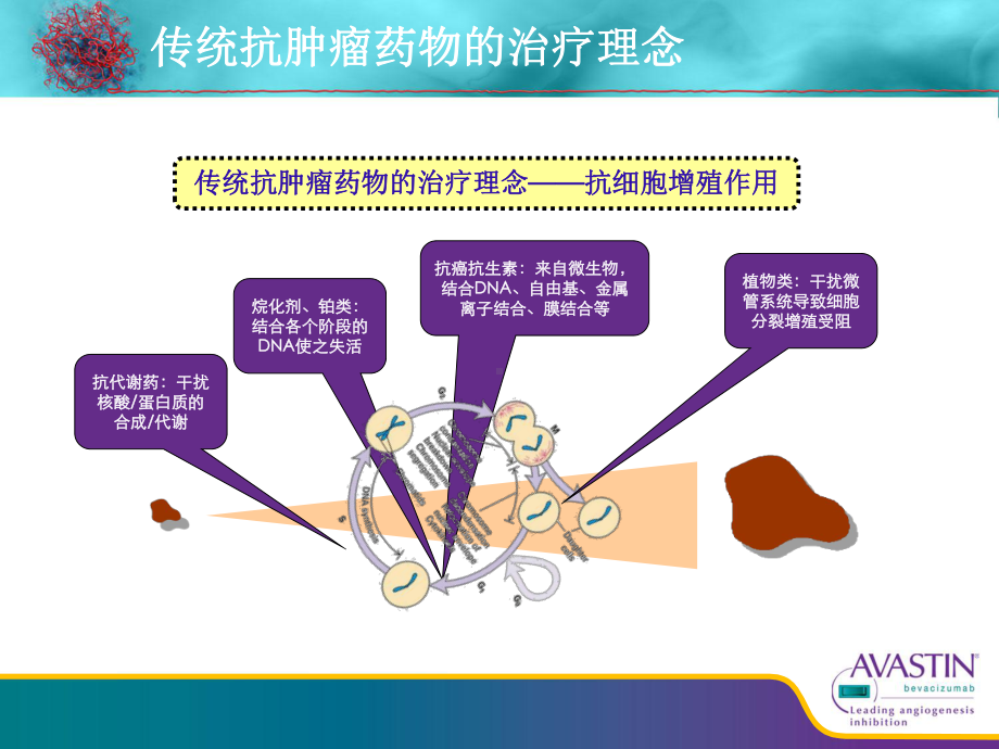 贝伐珠单抗-从基础到临床课件.ppt（51页）_第2页